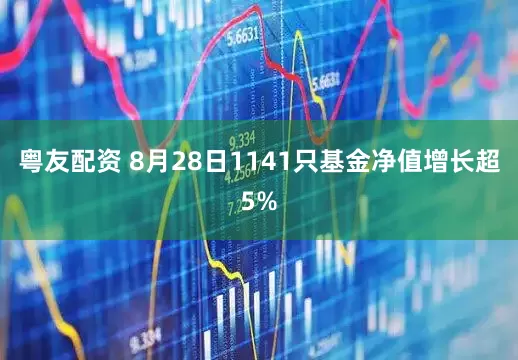 粤友配资 8月28日1141只基金净值增长超5%